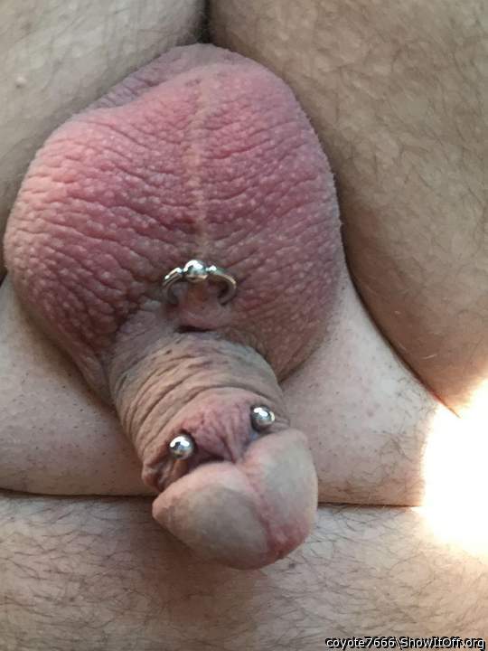 Lovely frenum piercing 