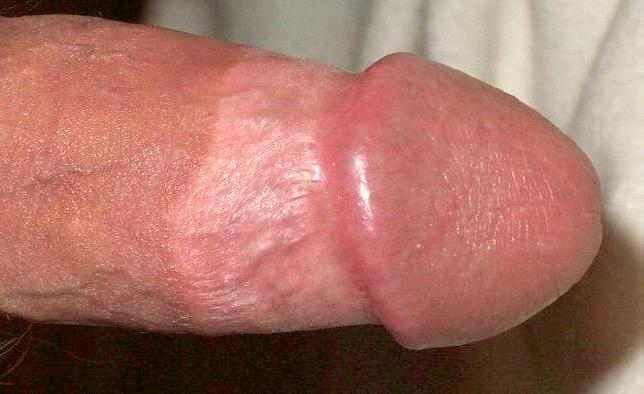 Adult image from lilsoftee