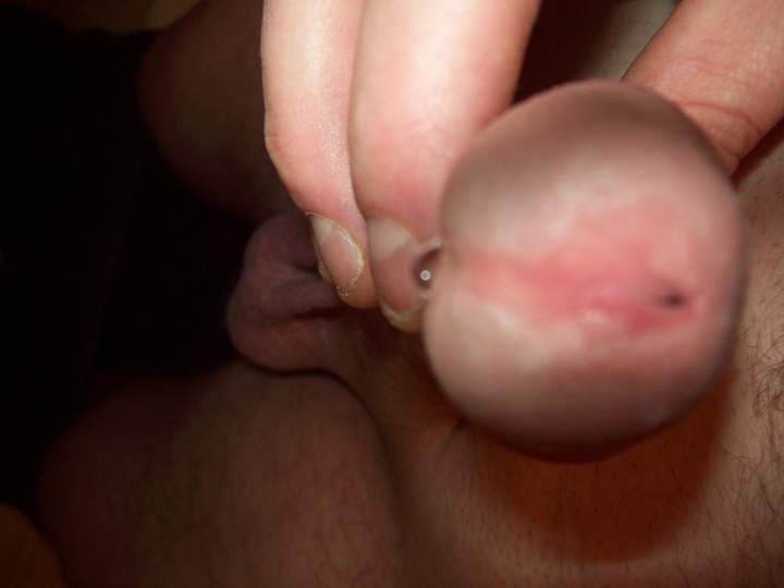 Adult image from Hornyashell
