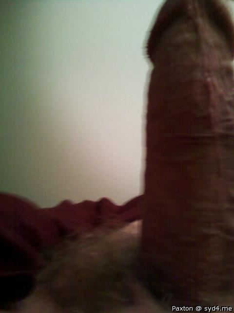 Adult image from Paxton