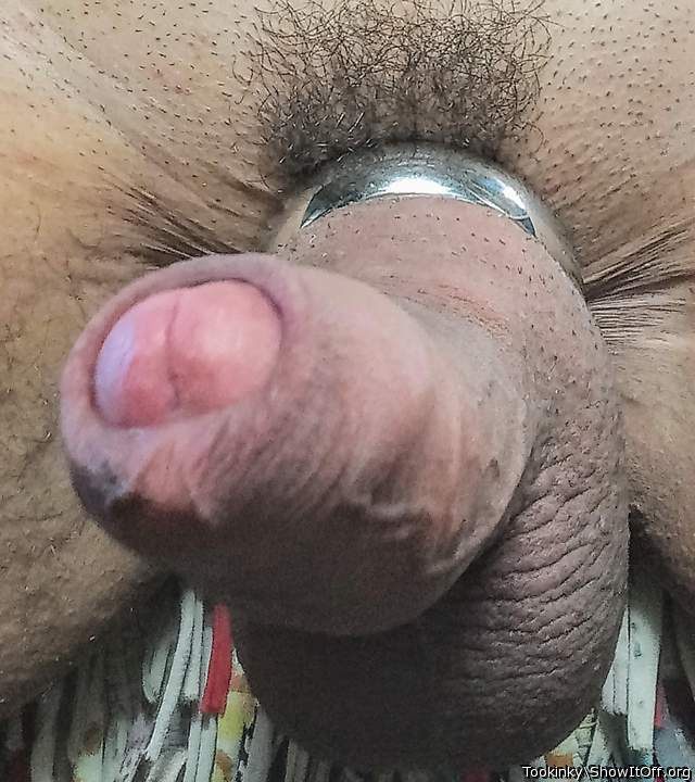 Adult image from Tookinky