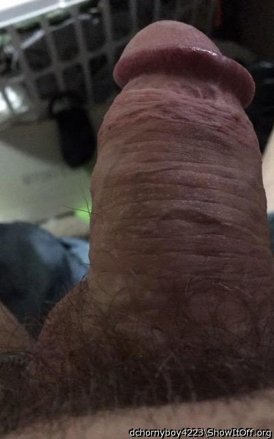 Adult image from dchornyboy4223