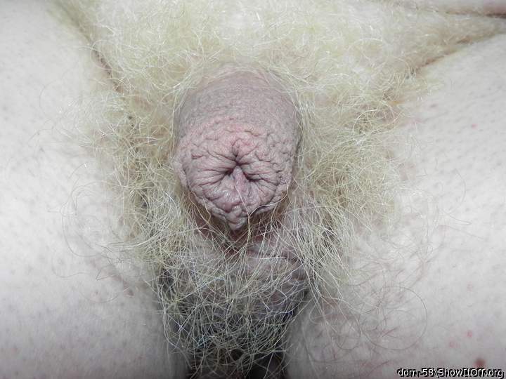 Adult image from dom-58