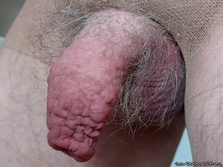 Adult image from dom-58