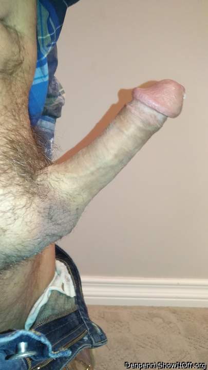 Adult image from Denpenn