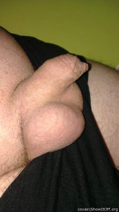 Adult image from covas