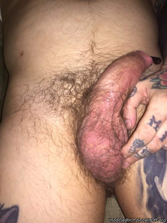 Adult image from modifiedbrln
