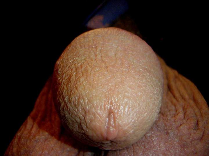 Adult image from lilsoftee