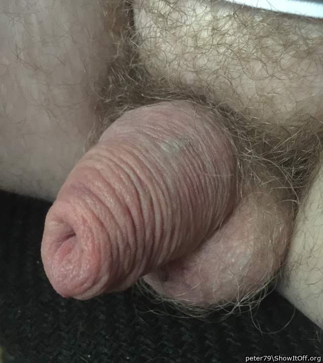 nice uncut dick