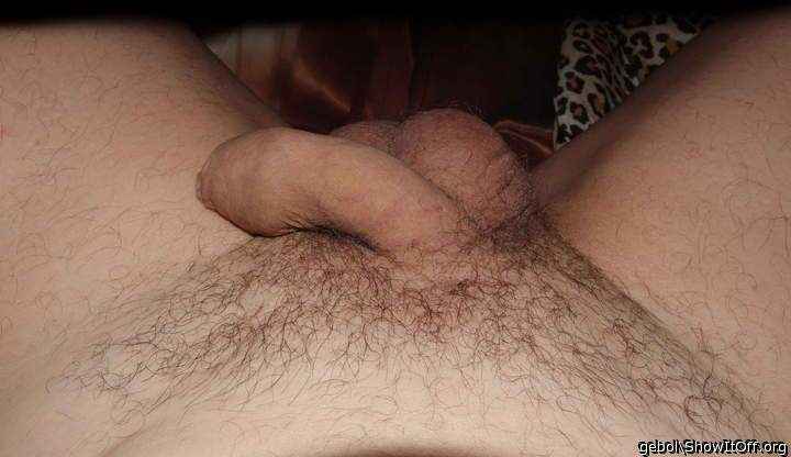 Adult image from gebol