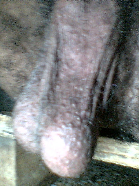 Adult image from luvmycock