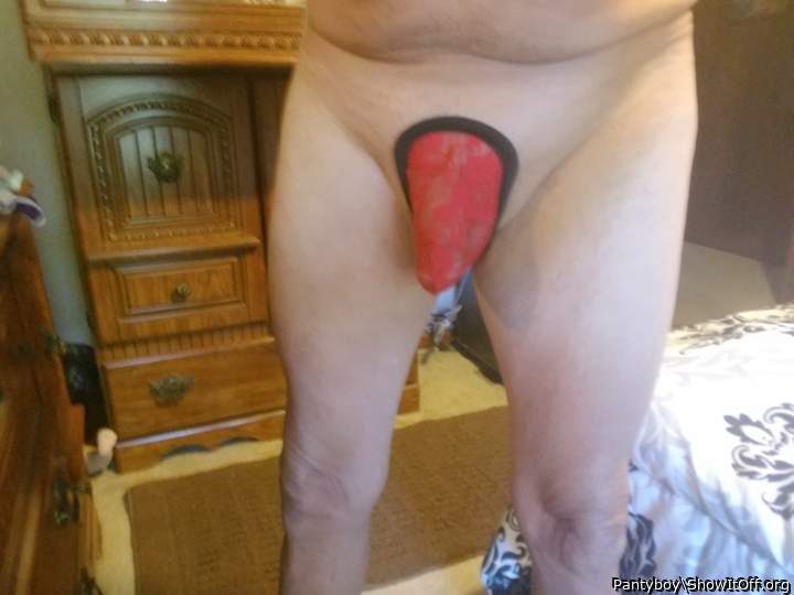 Adult image from Pantyboy