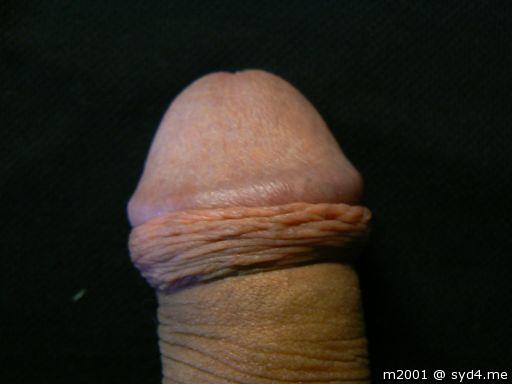Adult image from m2001