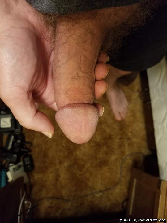 Adult image from jt36013