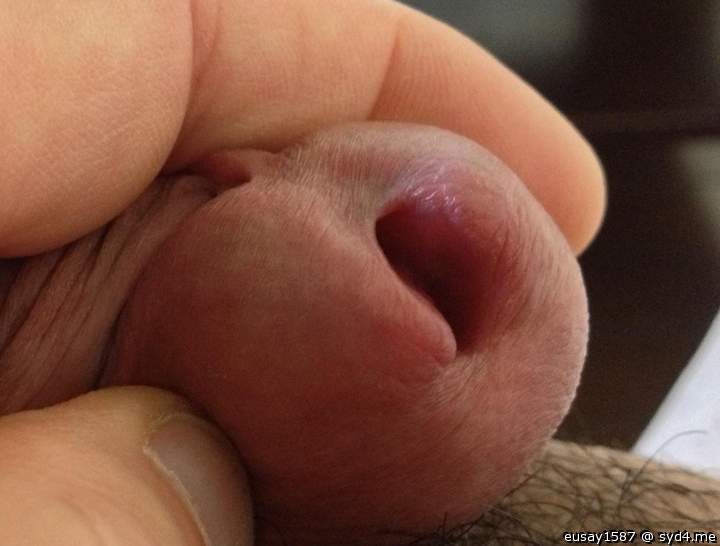 Adult image from eusay1587