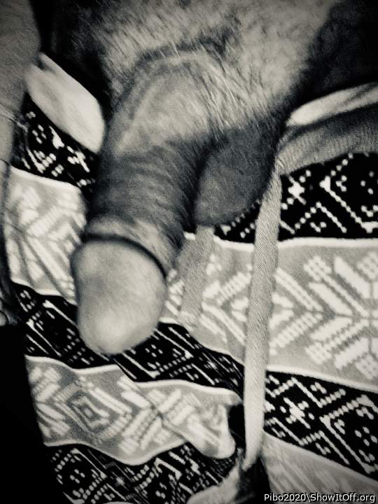 Adult image from Pibo2020