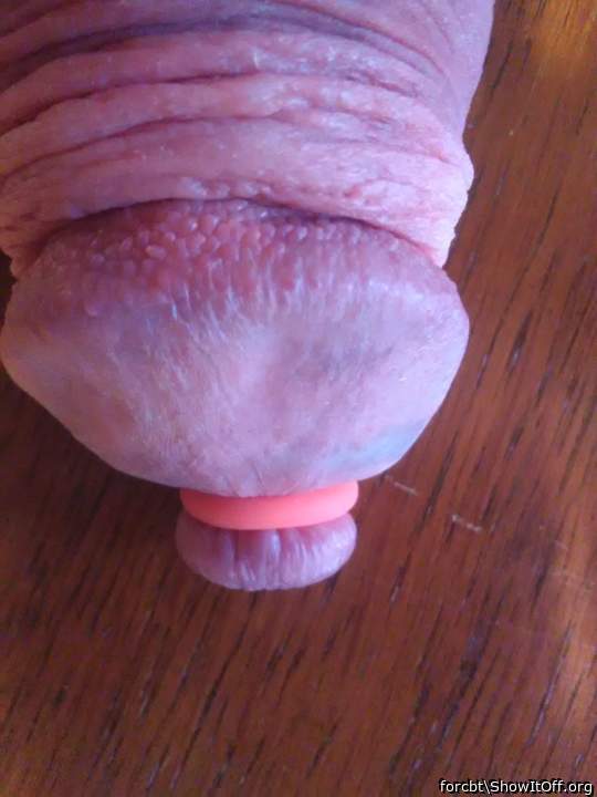 Adult image from forcbt