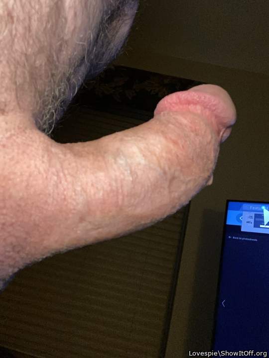 Adult image from Lovespie