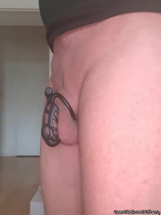 Adult image from daan66