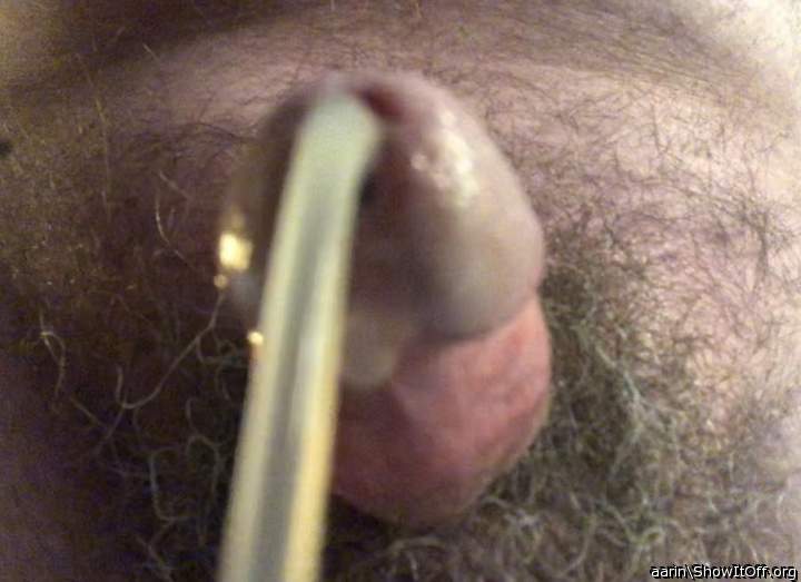 Adult image from Arinn