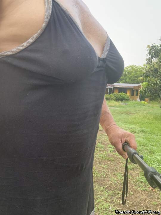 Adult image from Moench