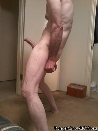 Adult image from Ranger