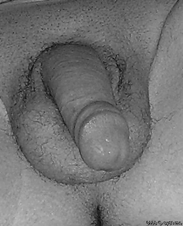 Adult image from 0123