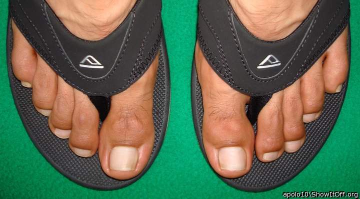 Adult image from apolo10