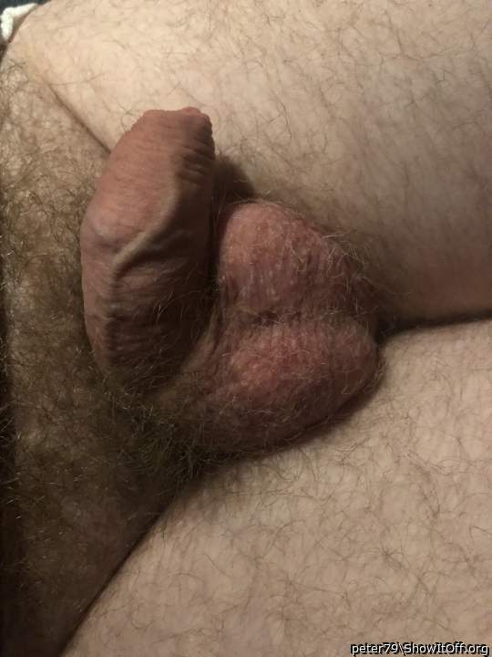 Adult image from peter79