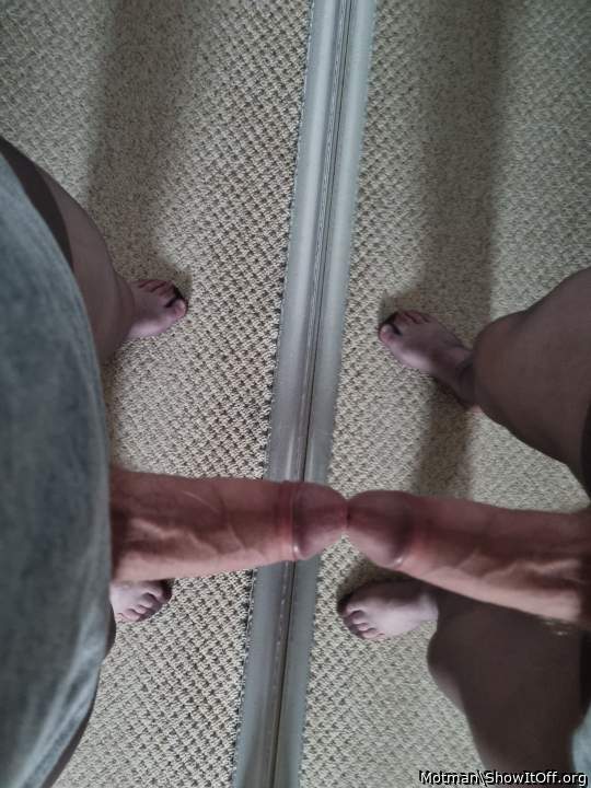 Adult image from Motman
