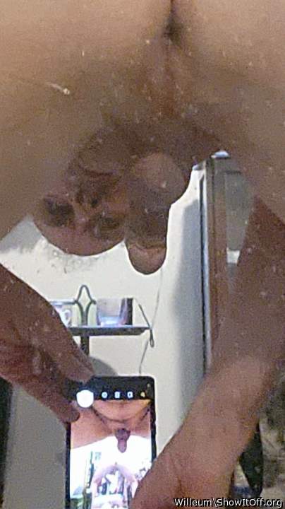 Adult image from Willeum