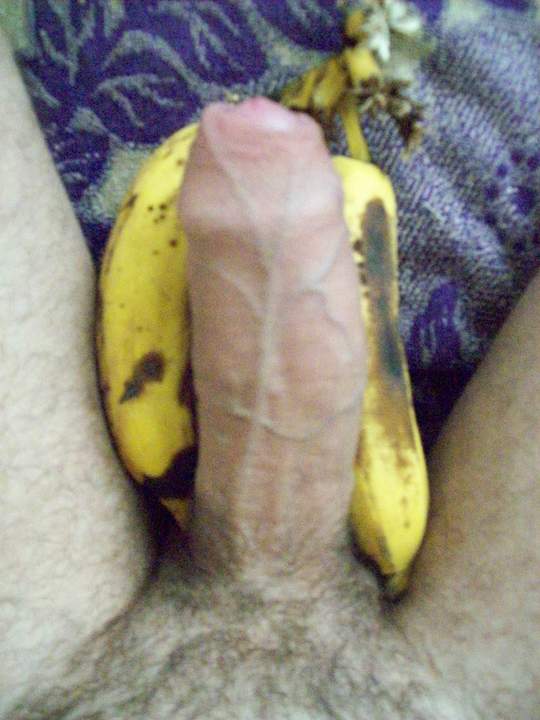 Adult image from taurus