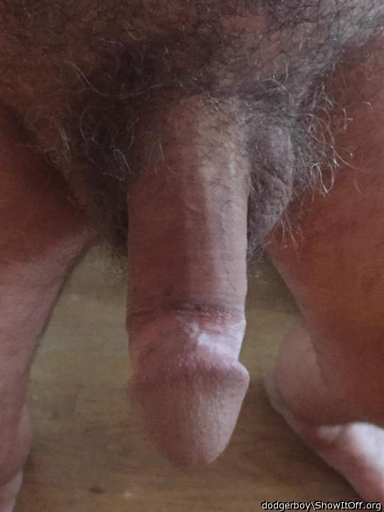 Adult image from dodgerboy