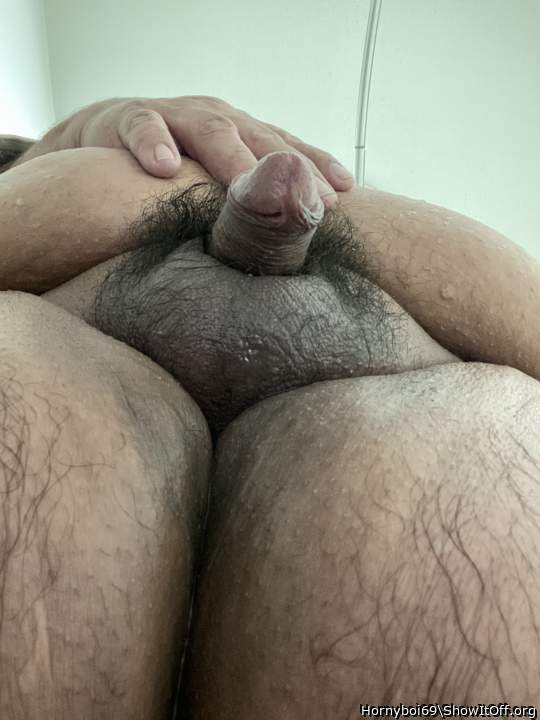Adult image from Hornyboi69