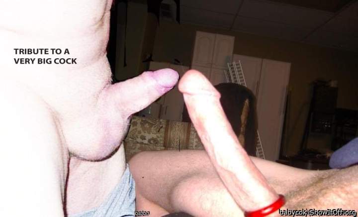 Adult image from babycok