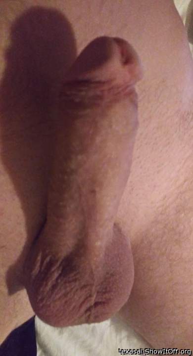 Adult image from texasal