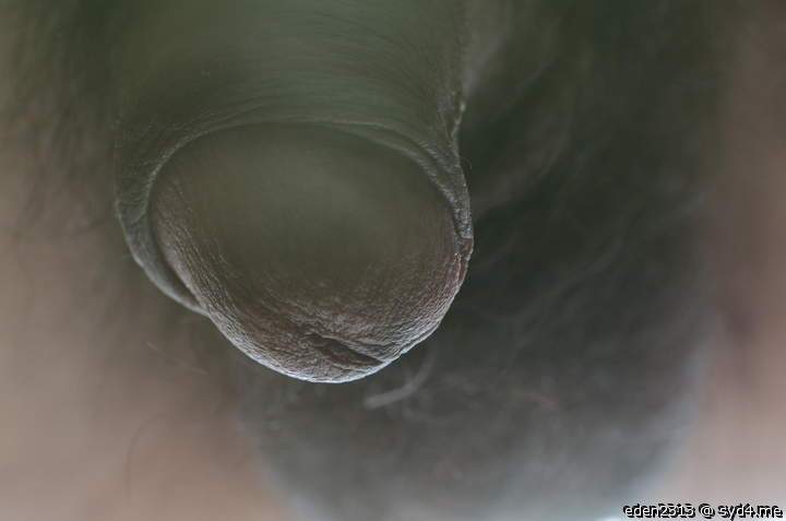 Adult image from eden2313