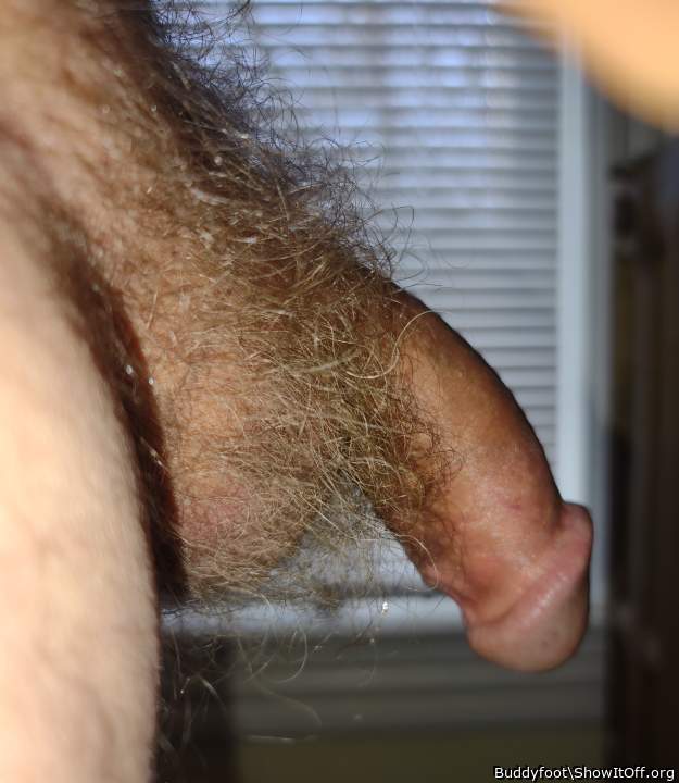 Hairy balls