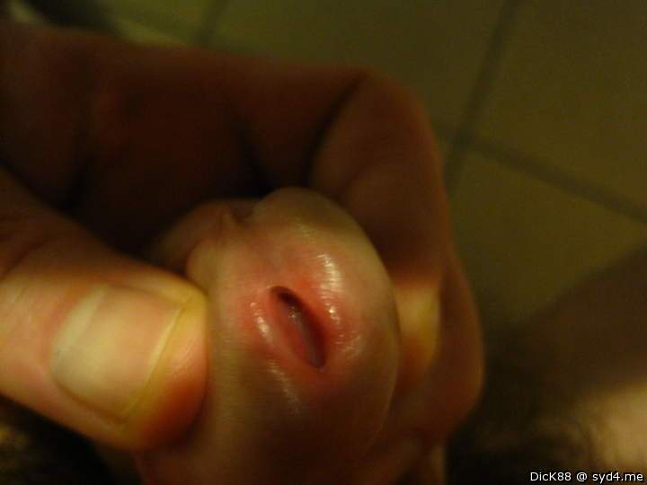 Adult image from Dick88
