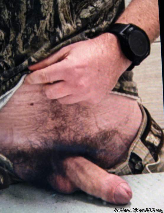 Adult image from Wetthroat