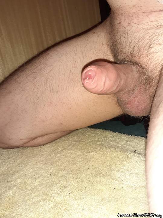 Adult image from Aaccee