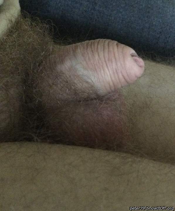 Adult image from peter79