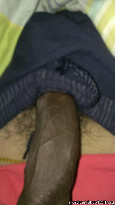Adult image from nicedices