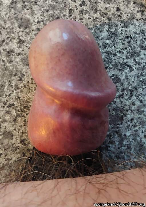 Adult image from spongeknob