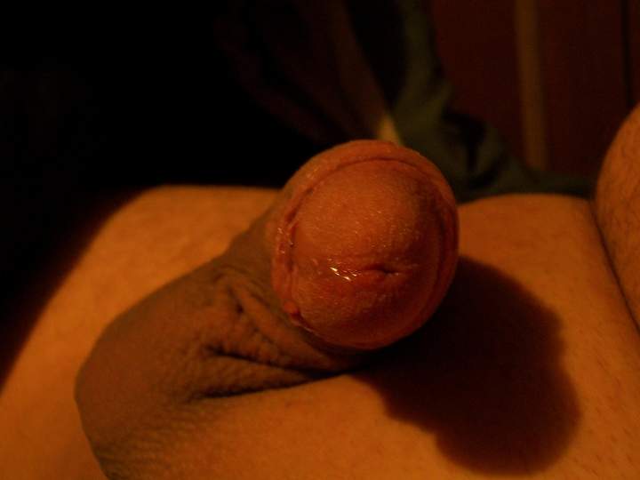 Adult image from avgcock