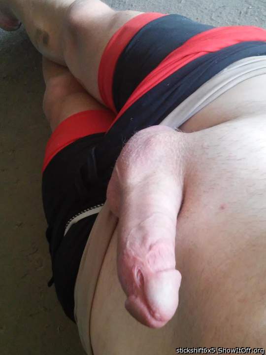 Adult image from stickshift6x5