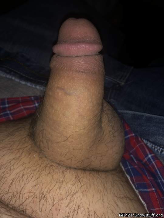 Adult image from GFMZ1