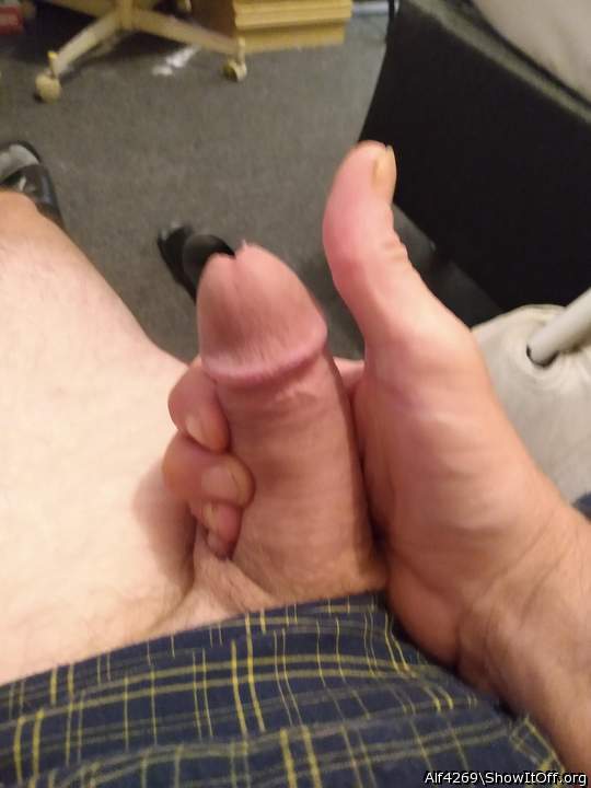 Adult image from Alf4269
