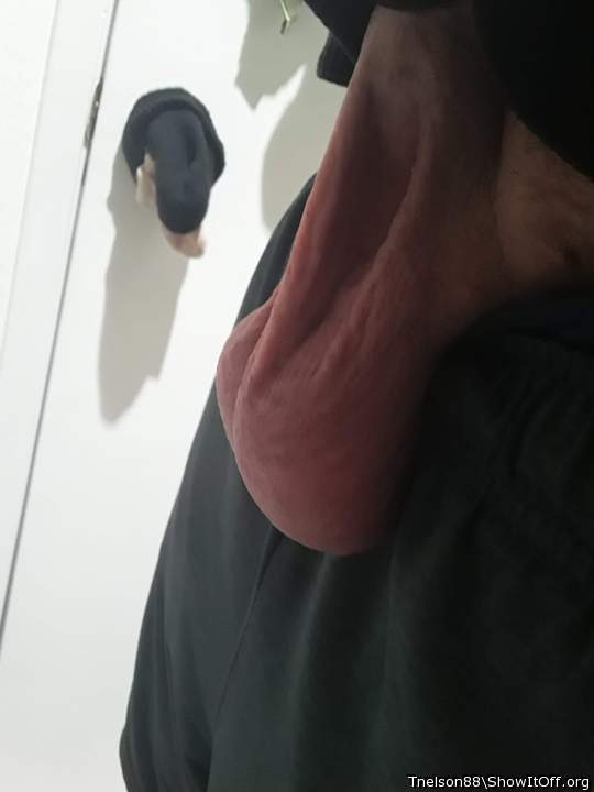 Adult image from Tnelson88