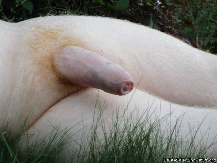 Adult image from D!CK4SKIN